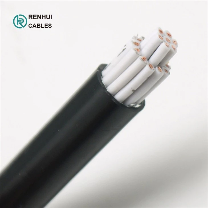 control cable (21)